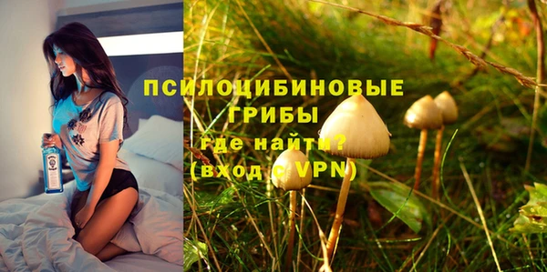 шишки Аркадак