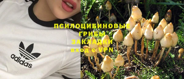 шишки Аркадак
