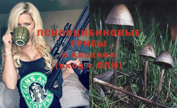 шишки Аркадак