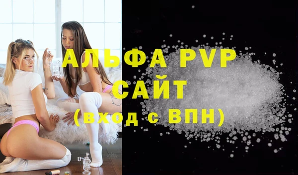 шишки Аркадак