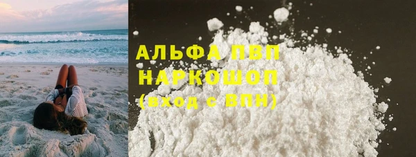 шишки Аркадак